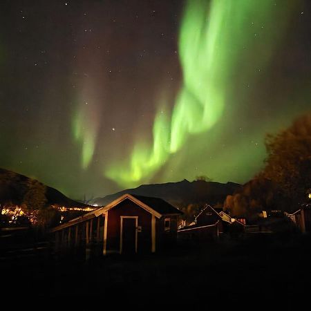 Koselig Dyregard I Tromso Hotel Kültér fotó